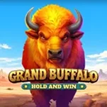 Grand Buffalo Grand Buffalo