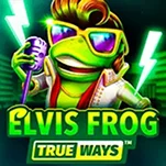 Elvis Frog Elvis Frog